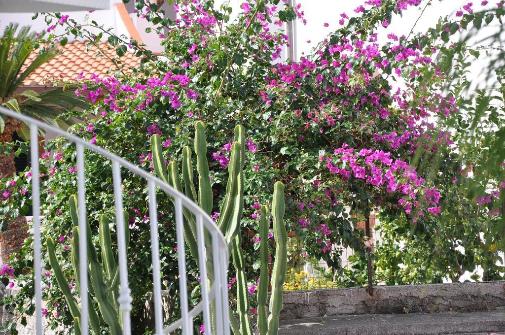 Villa Sea Rose Lipari  Buitenkant foto